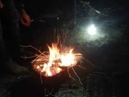 2019-02-23 FEDERALES